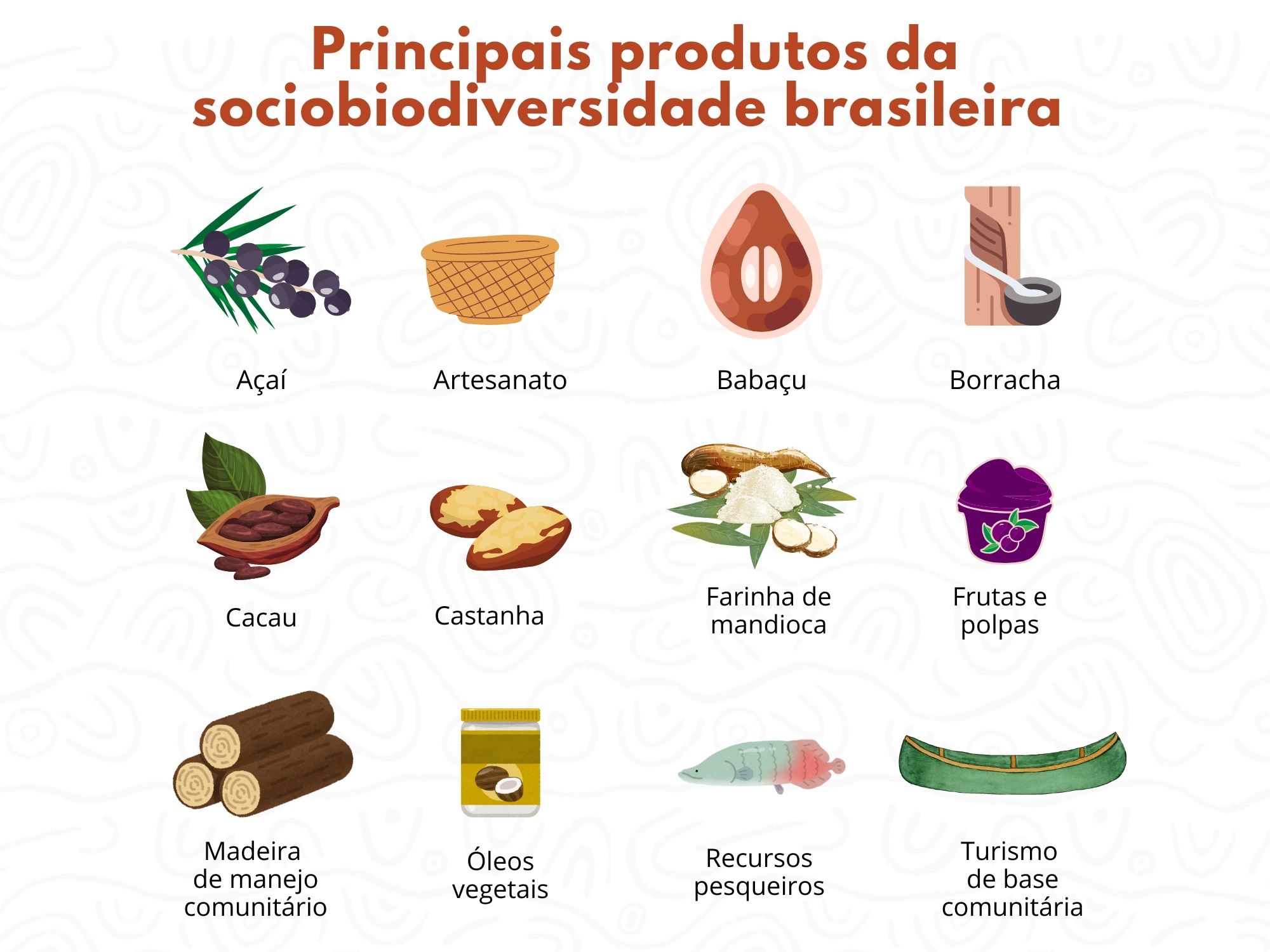 Produtos sociobiodiversidade