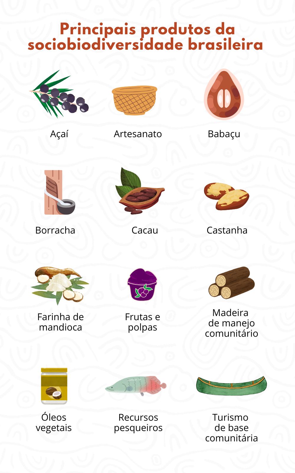 Produtos sociobiodiversidade