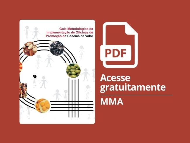 Guia Metodológico de Implementação das Oficinas de Promoção de Cadeias de Valor