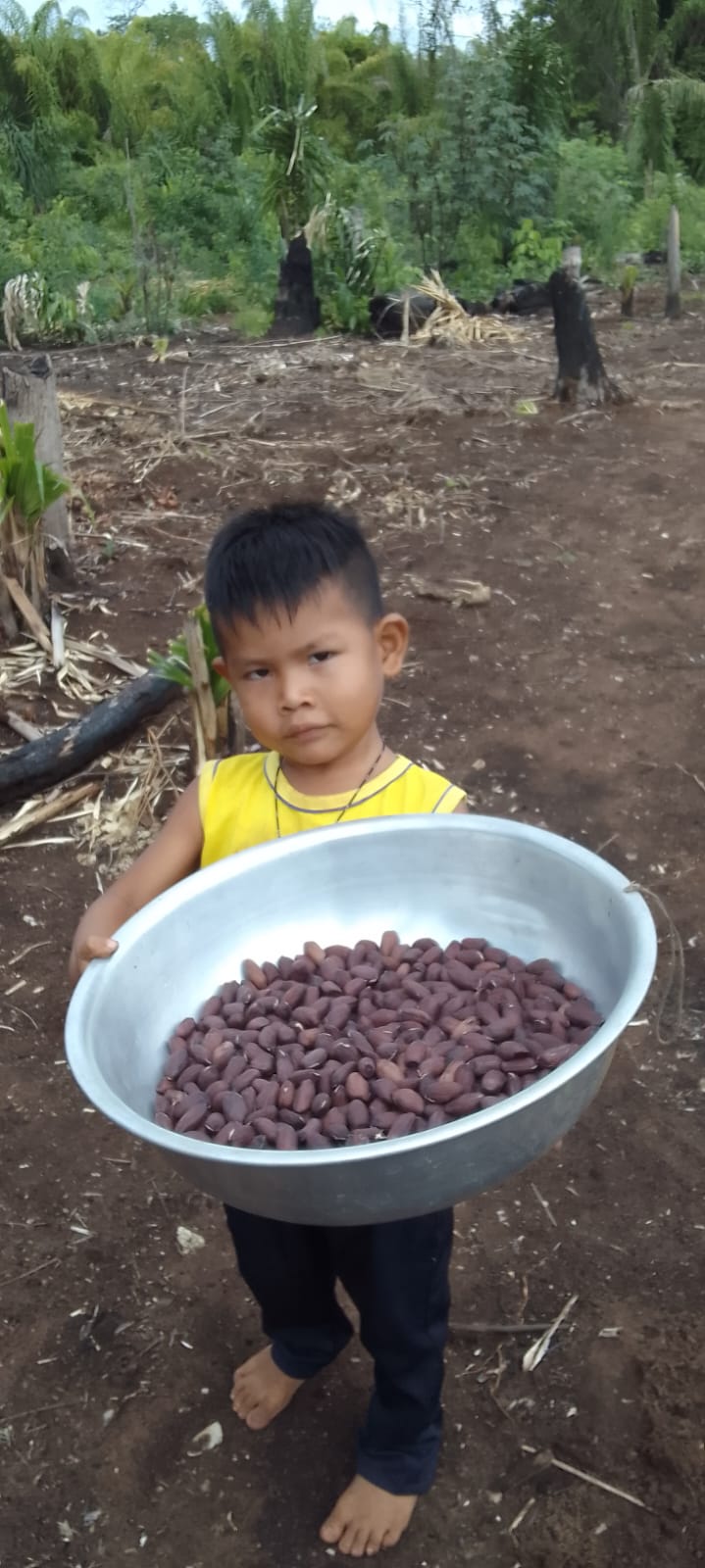 Criança com baciade amendoim