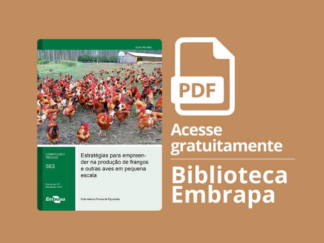 Publicação