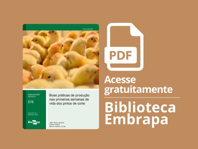 Publicação