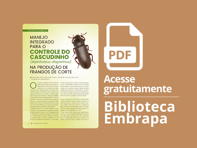 Publicação