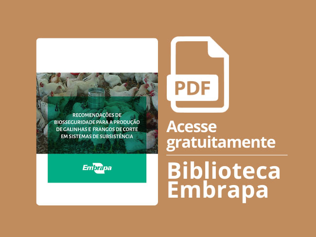 Recomendações de biosseguridade para a produção de galinhas e frangos de corte em sistemas de subsistência