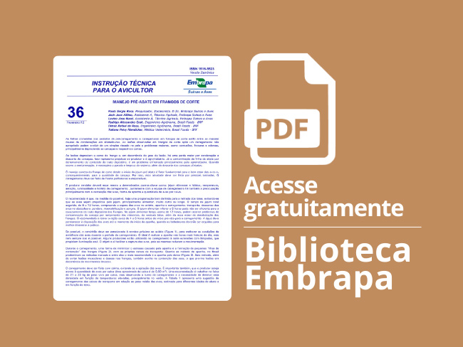 Publicação