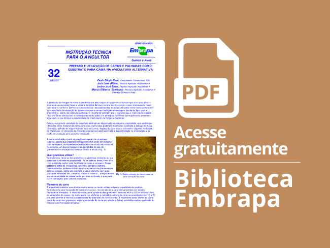 Publicação