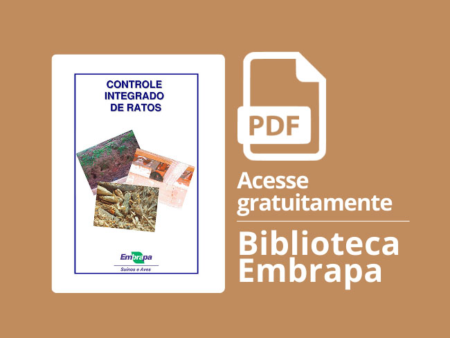 Publicação