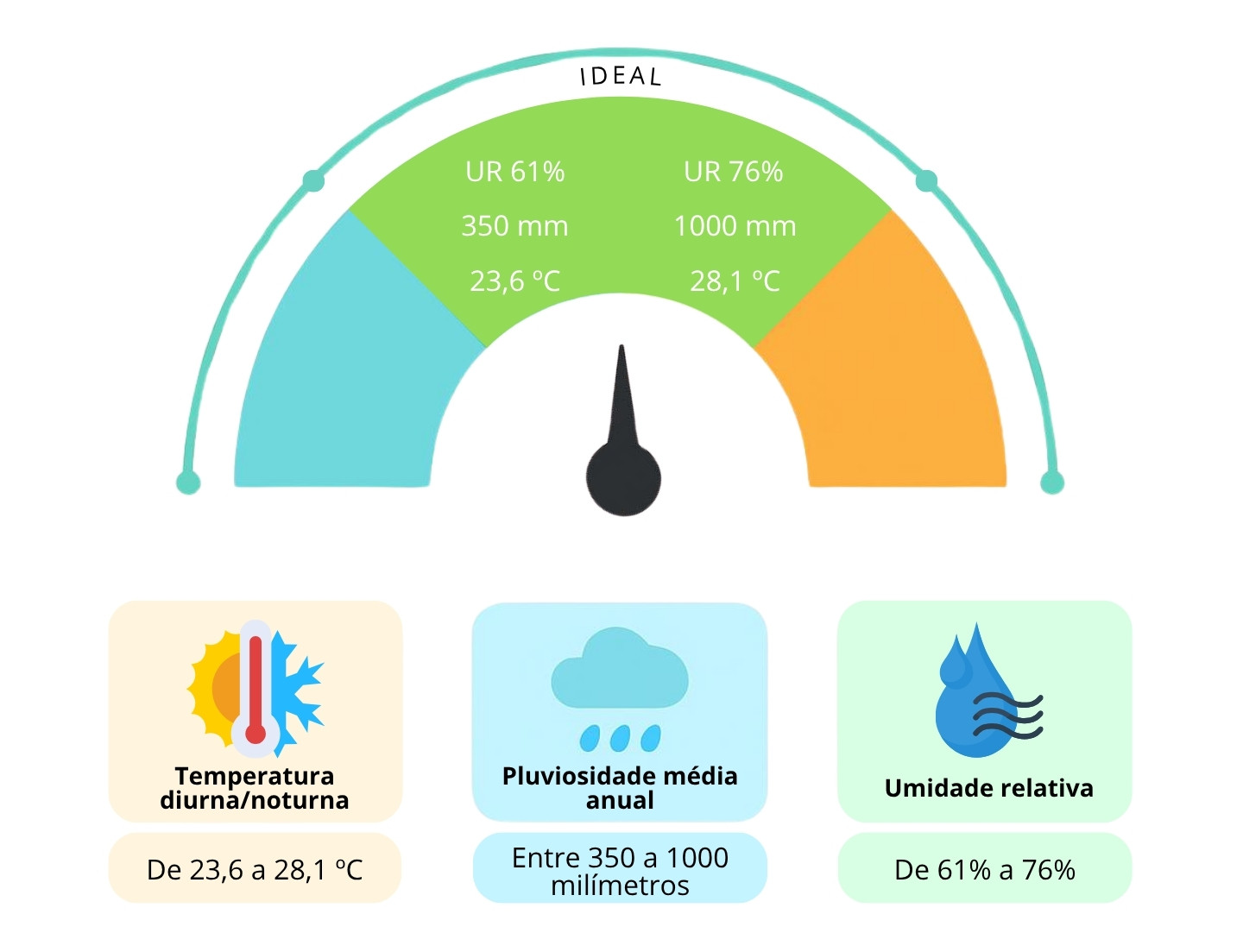 Clima ideal na cultura do capim-buffel