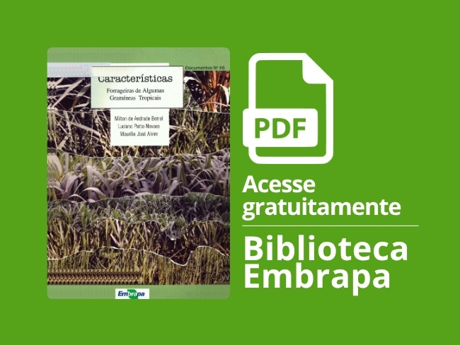 Características forrageiras de algumas gramíneas tropicais