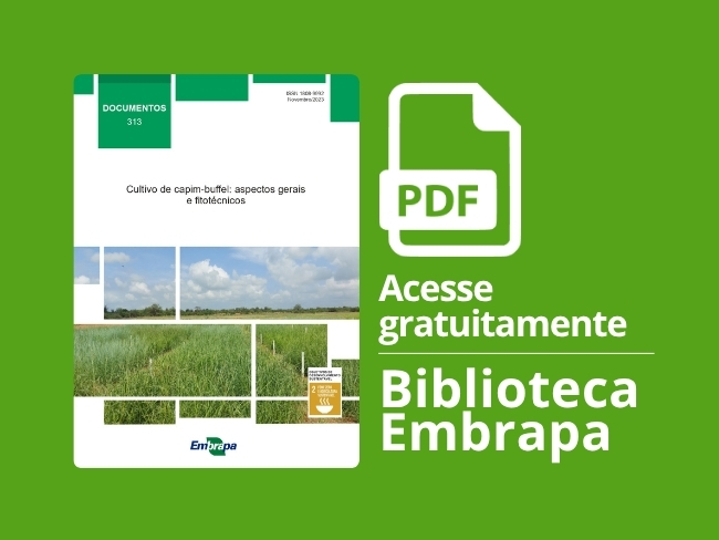 Cultivo de capim-buffel: aspectos gerais e fitotécnicos.