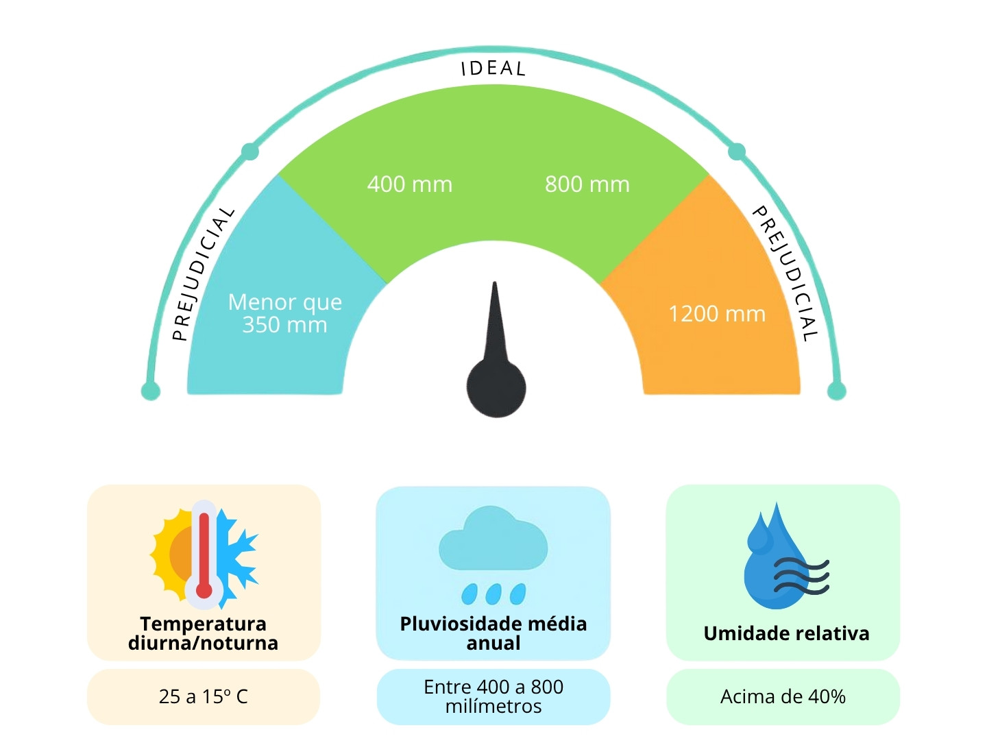 Clima ideal na cultura da palma forrageira
