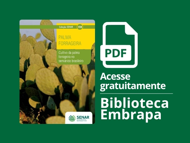 Cultivo da palma forrageira no semiárido brasileiro.