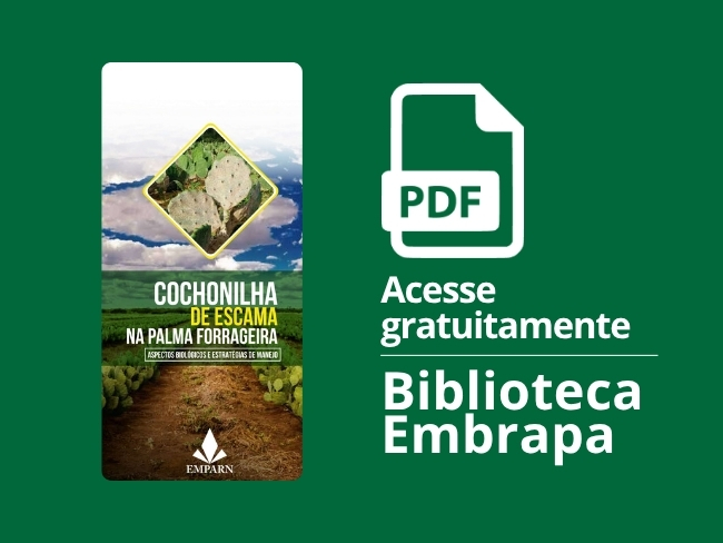 Cochonilha de escama na palma forrageira.