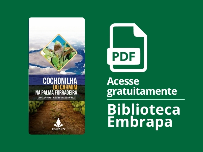 Cochonilha do carmim na palma forrageira.