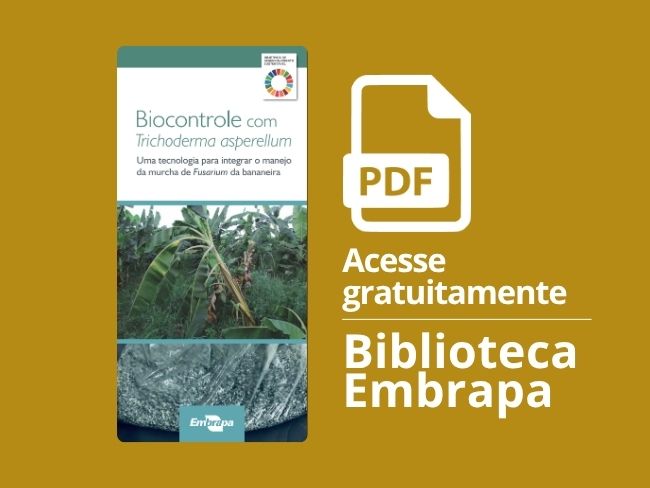 Biocontrole com Trichoderma asperellum: uma tecnologia para integrar o manejo da murcha de Fusarium da bananeira