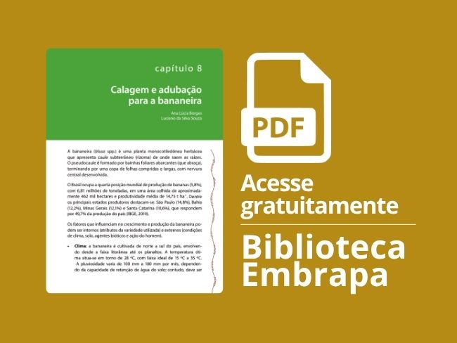 Calagem e adubação para a bananeira