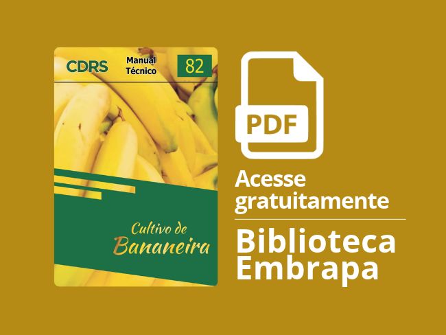 Cultivo de bananeira