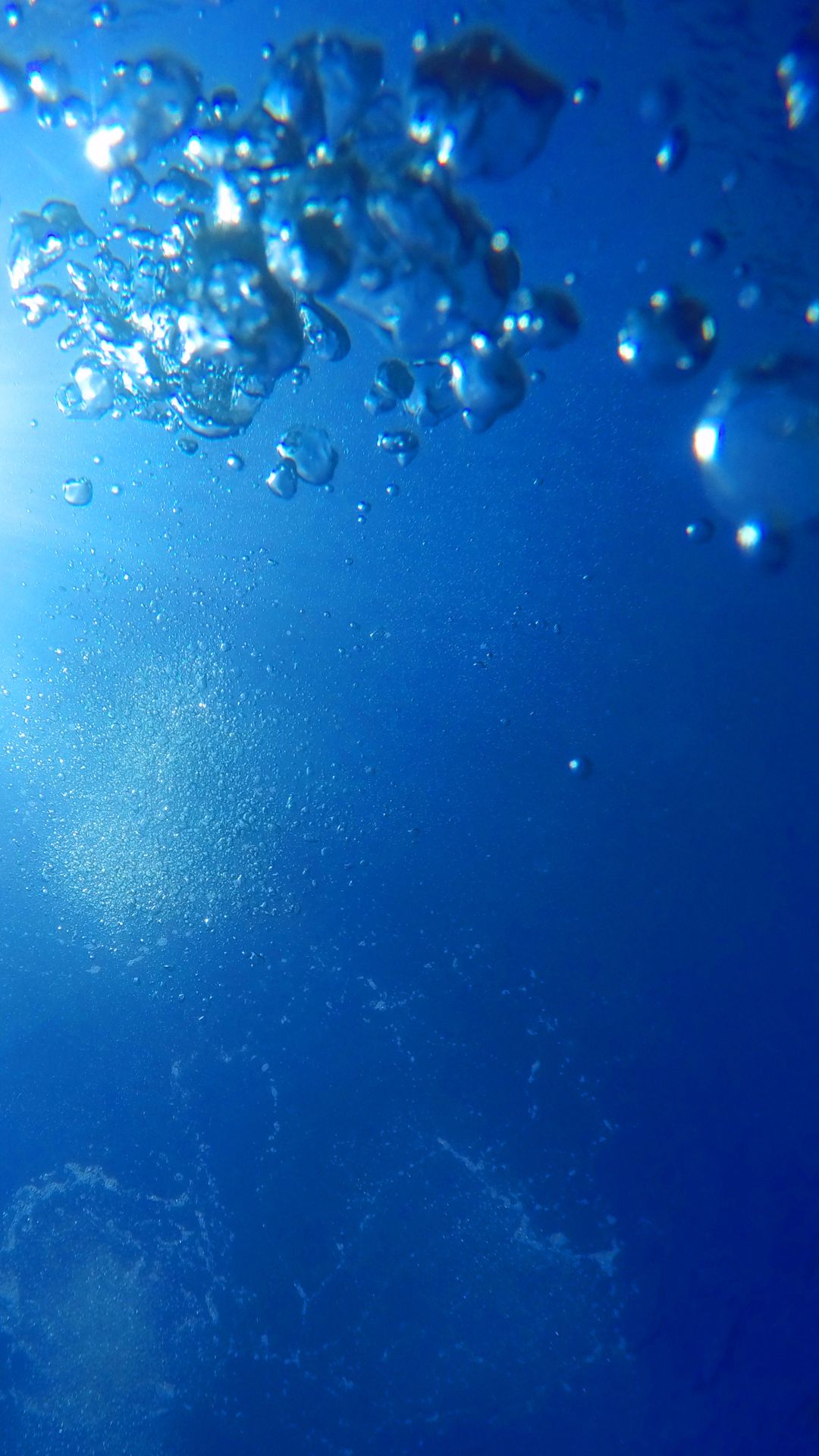 Criação de peixes sem desperdício de água? Conheça o Sistema RAS