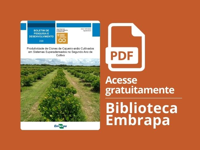 produtividade clones