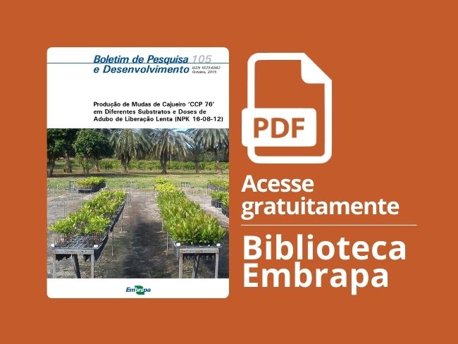 mudas substratos e doses