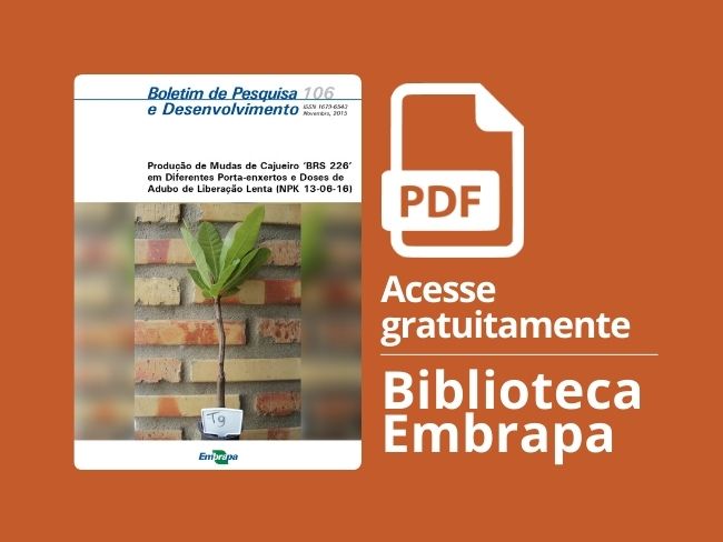 mudas porta-enxertos