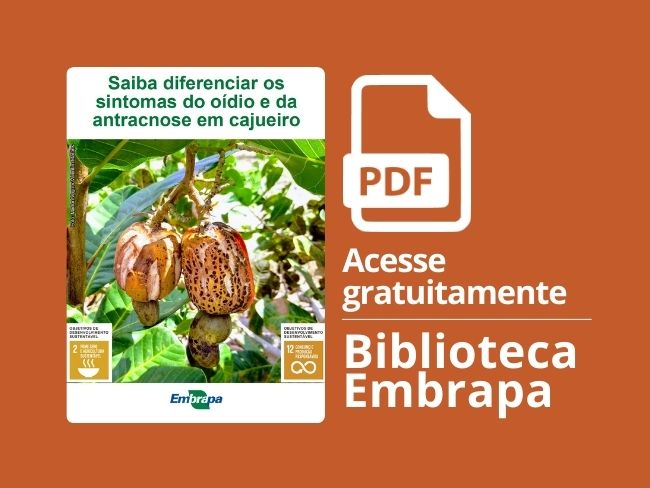 oídio antracnose