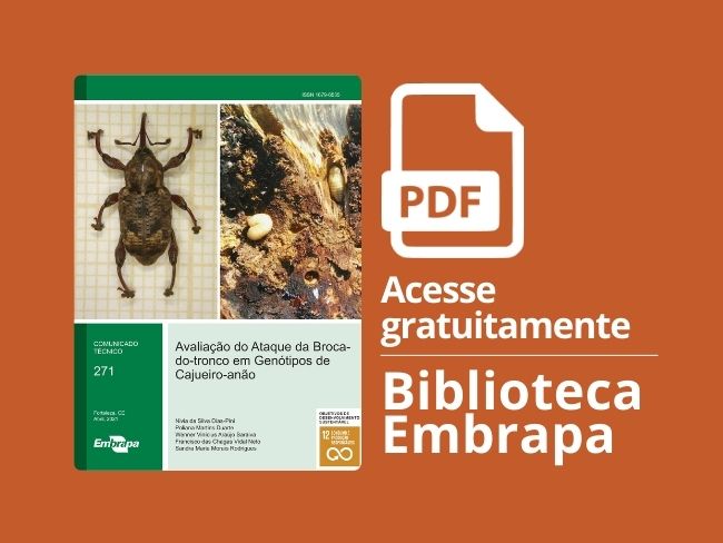 avaliação broca-do-tronco