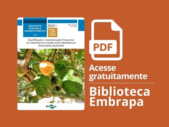 fitoquímica castanha cajueiro-anão