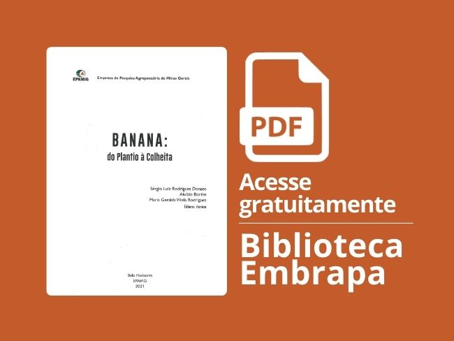 Manejo Pragas