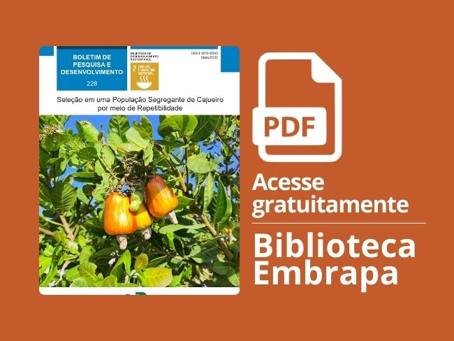 Seleção População Segregante Cajueiro