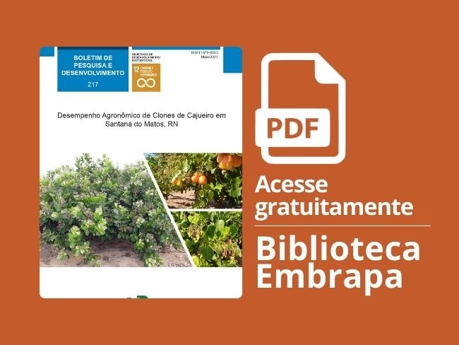 Desempenho Cajueiro