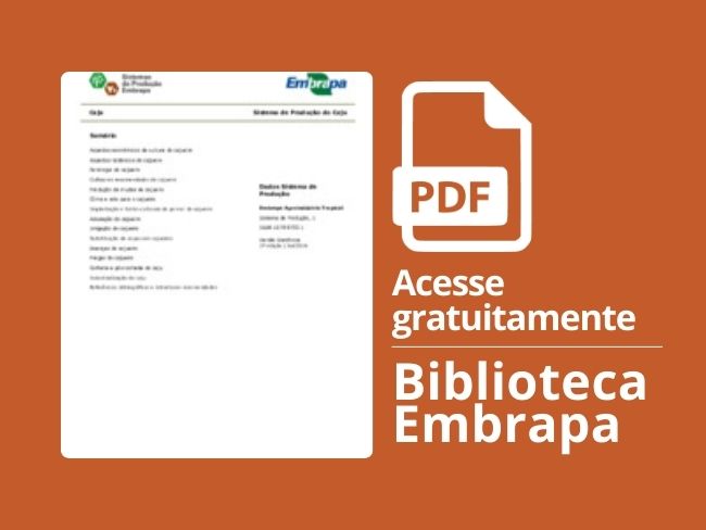 sistema de produção do cajueiro.