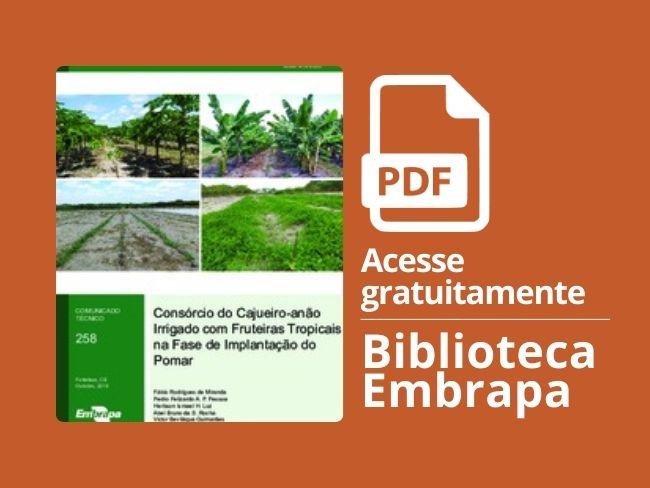 consorciação fruteiras