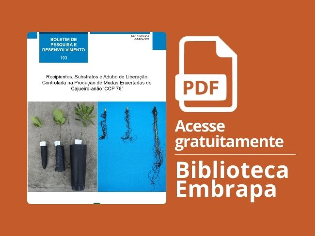 Recipientes Substratos Adubo Liberação Controlada Cajueiro-anão CCP 76