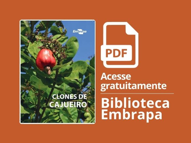 clones de cajueiro