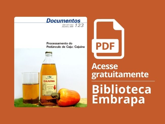 Processamento Cajuína
