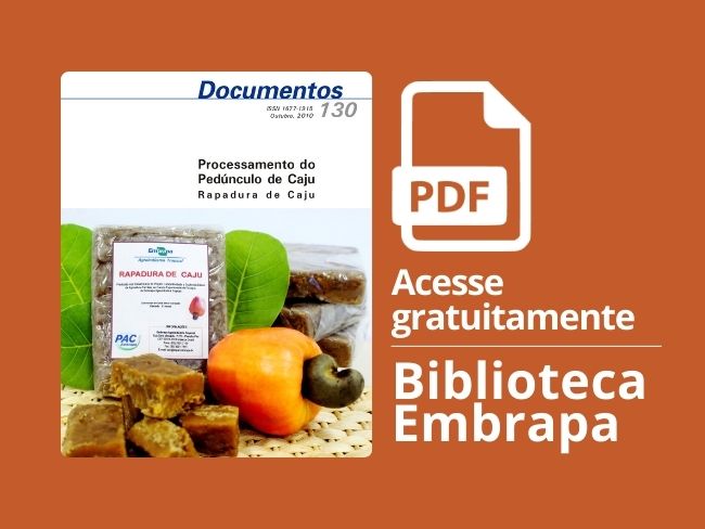 Processamento Rapadura de Caju