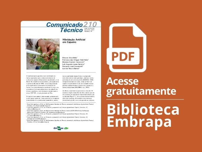 hibridação artificial