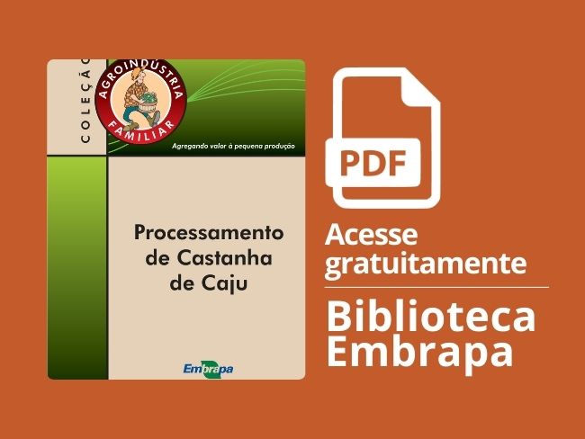 Processamento castanha de caju