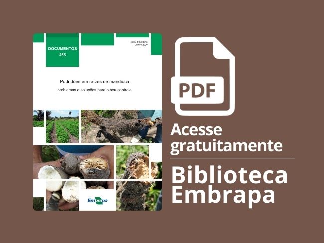 Documentos Podridões em raízes de mandioca problemas e soluções para o seu controle
