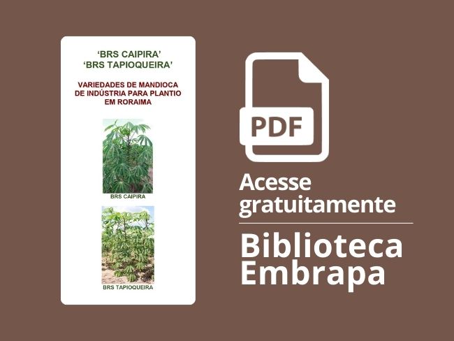 Folder BRS Caipira e BRS Tapioqueira
