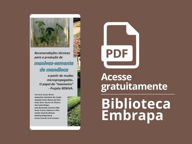 Cartilha Recomendações técnicas para a produção de manivas-semente de mandioca a partir de mudas micropropagadas. O papel do 