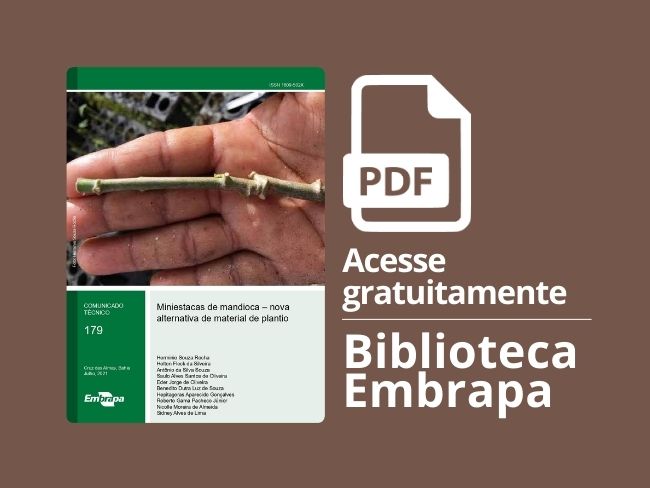 Comunicado Técnico Miniestacas de mandioca – nova alternativa de material de plantio