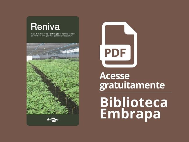 Folder Reniva Rede de multiplicação e distribuição de manivas-semente de mandioca com qualidade genética e fitossanitária