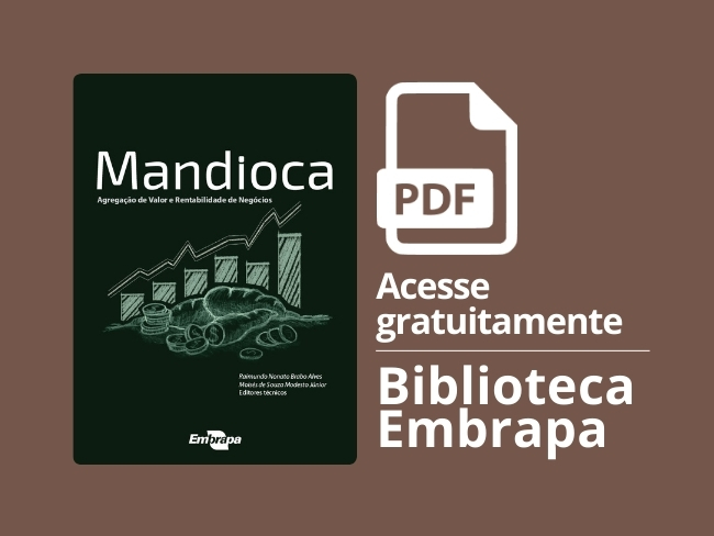 Mandioca agregação de valor e rentabilidade de negócios