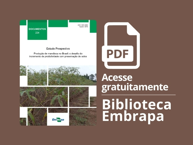 Produção de mandioca no Brasil: o desafio do incremento de produtividade com preservação de solos