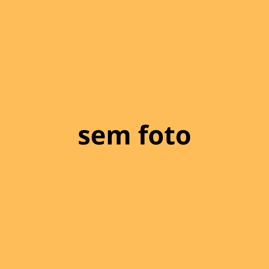 Primeiro Slide