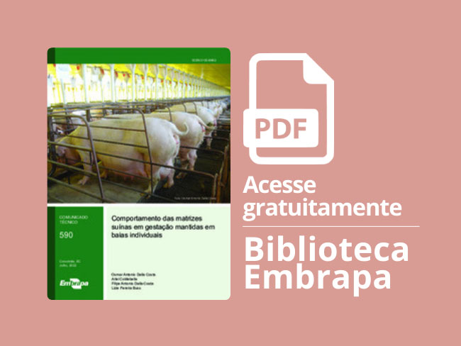 Publicação