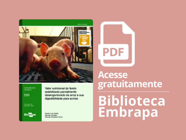 Publicação