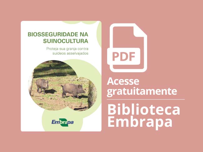 Biosseguridade na suinocultura: proteja sua granja contra suídeos asselvajados